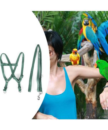 Camidy Adjustable Bird Harness and Leash Kit Macaw Cockatoos Bird Leash for Parrots Outside Training Walk for Large Bird Parrots Green L - Buy Online on GoSupps.com