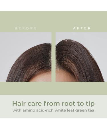 AMOS Green Tea Volume Mist 4.7 fl. oz (Renewal) | Bamboo Extract Styling Mist for Hair Loss and Volume | Korean Salon Brand - Buy Online on GoSupps.com