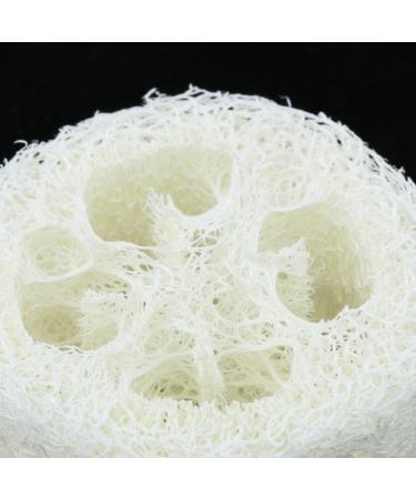4PC Loofah Soap Dish Tray Set | Natural Loofah Sponge Rack for Bathroom & Kitchen | Durable & Strong | Ideal for Household Cleaning - Buy Online on GoSupps.com