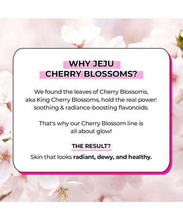innisfree Cherry Blossom Dewy Glow Jelly Cream Face Moisturizer 1.69 Fl Oz - Hydrating and Illuminating Formula - Buy Online on GoSupps.com