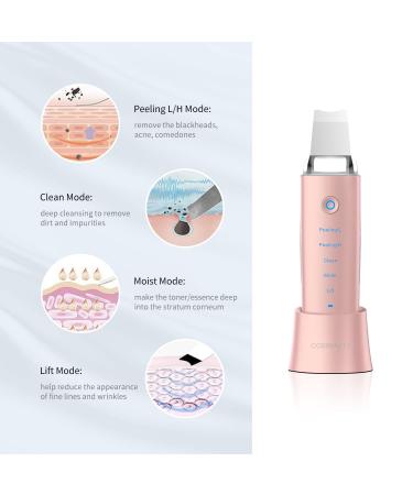 COSBEAUTY Skin Scrubber Skin Spatula | 4-in-1 Versatile