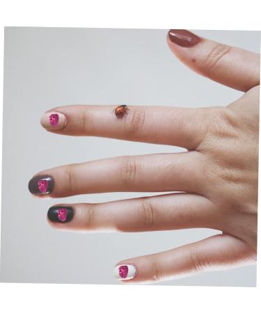 Anneome 1 Glass Chip Nail Art Charms Glass Charms Filling Nail Glass Epoxy Fillers DIY Charm Fillers Nail Art Stone Manicure Charm DIY Epoxy Filling Shiny Nail Stickers 0.5X0.3cm Rosy - Buy Online on GoSupps.com