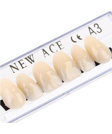 168 Pcs Dental Synthetic Resin Tooth Denture A3 Upper And Lower Acrylic Teeth Sets Acrylic Resin False Teeth for Halloween Horror Teeth - Buy Online on GoSupps.com