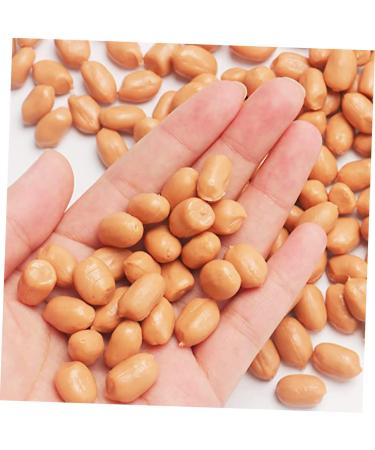 ABOOFAN 2pcs 1 Simulation Peanut Simulated Nut Artificial Groundnut Kernels Fake Dried Fruits Imitation Peanut Adornment Scene Adornment Simulation Fake Fruit Fake Nut Model Corn Pvc - Buy Online on GoSupps.com
