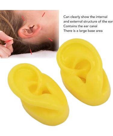 Silicone Ear Model 1 Pair Silicone Ear Human Ear Model Soft Tough Bubble Free Yellow Waterproof Ear Displays Mould Soft Silicone Simulation Human Ear Model Ear Display Teaching Aid Model - Buy Online on GoSupps.com