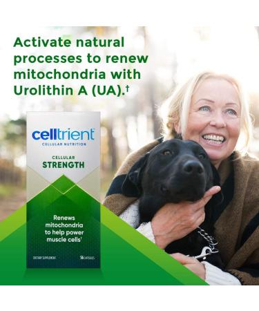 Celltrient Strength Capsules 56 Count - Potent Antioxidant Supplement (Pack of 1) - Buy Online on GoSupps.com
