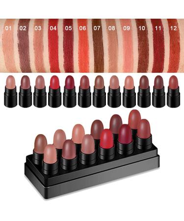 12Pcs Capsule Pills Lipstick Mini Matte Lipstick Set for Women Teens - Dark Brown Red Small Candy Lipstick Samples - Matte Makeup Kit 12 Count - Buy Online on GoSupps.com