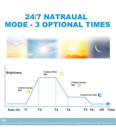 SEAOURA 24/7 Mode LED Aquarium Light | Full Spectrum Fish Tank Light with Timer & Auto On/Off | 42W for 48-54 inch Tank | 7 Colors, Adjustable Brightness, 3 Modes | Freshwater Plant Growth - Buy Online on GoSupps.com