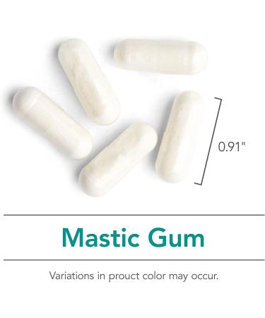 Nutricology Mastic Gum Capsules - 120 Vegetarian Capsules for Digestive Health - Buy Online on GoSupps.com