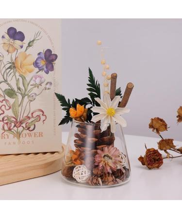 Creative Dry Flower Aromatherapy DIY Reed Diffuser Set | Handcrafted Osmanthus Essential Oils for Home Decor & Wellness - Buy Online on GoSupps.com