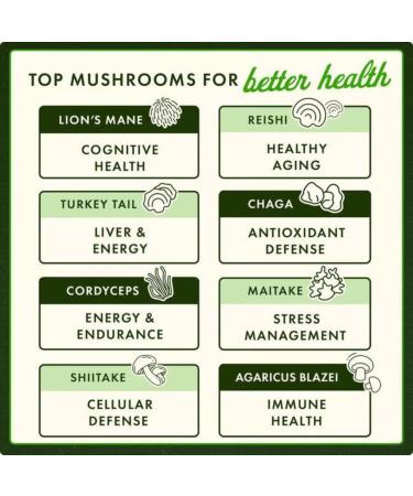 Swanson Turkey Tail Mushroom - Herbal Supplement Promoting Immune System & Cellular Health - Natural Formula Promoting Liver Function & Defense - (120 Capsules, 500 mg) - Buy Online on GoSupps.com