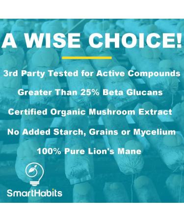 Organic Lions Mane Mushroom Capsules 1000mg - Nootropic Superfood Supplement for Brain, Nerve, and Immune Support - Non-GMO, Gluten-Free, Vegan - 3rd Party Tested - Buy Online on GoSupps.com