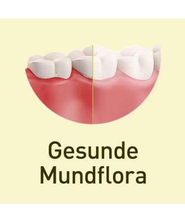 Nupure Probadent Lozenges for Bad Breath | Vitamin D & Bacterial Cultures | 90 Capsules - Lemon Flavor - Enhance Oral Hygiene - Buy Online on GoSupps.com