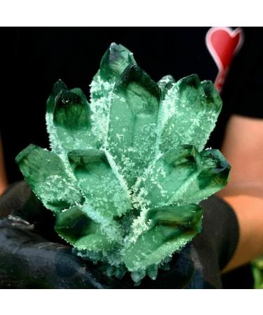 Home Natural Green Spooky Spooky Quartz Crystal Cluster Specimen Home Office Decoration Crystal Cluster (Size : 900-1000g) - Buy Online on GoSupps.com