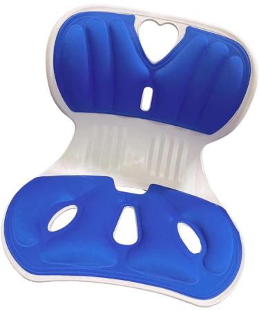 MERIGLARE Lumbar Support Pillow for Sitting Comfort Blue - Buy Online on GoSupps.com
