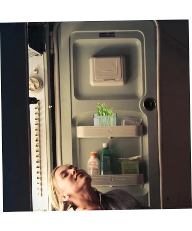 FUNOMOCYA 2pcs Box Refrigerator Storage Box Bag Holder Side Door - Buy Online on GoSupps.com