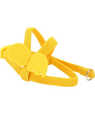 Premium Pet Parrot Bird Dishes & Leash - Adjustable Outdoor Flight Set for Parrots & Nymphensitties | Training Rope & Flight Guidance - Buy Online on GoSupps.com