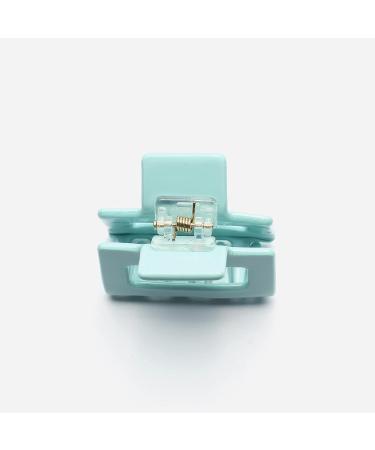 Elegant Blue Acetate Hair Clip | Beautiful Ladies Headpiece & Accessory - Shop Internationally - Buy Online on GoSupps.com