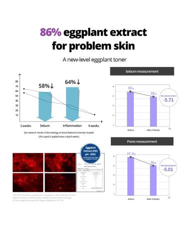  BONAJOUR Eggplant Daily BHA Toner & Cream Duo 7.2+1.7 fl.oz - Buy Online on GoSupps.com