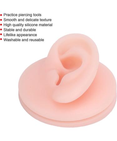 Fake Ear Model Silicone Smooth and Delicate Texture Human Ear Model Reusable for Teaching for Classroom for School for Laboratory(Left ear) - Buy Online on GoSupps.com