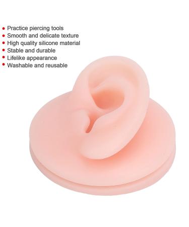 Professional Soft Silicone Fake Ear Model for Acupuncture Practice - Left Ear Display Sample - Buy Online on GoSupps.com