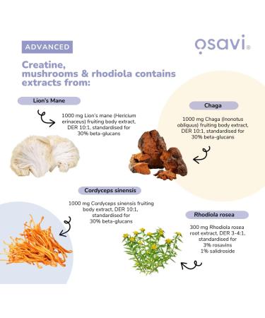  OSAVI Osavi Creatine Mushrooms & Rhodiola Cherry & Strawberry - 300g - Buy Online on GoSupps.com