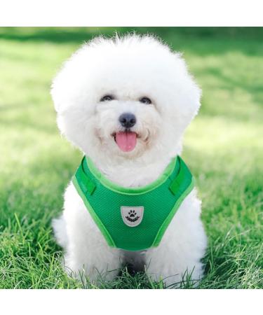 Femax Dog Harness & Linen Set - Soft Mesh Padded Reflective Adjustable Breastware for Walking & Training | Ideal for Dogs Puppies & Cats (Chest 35-40 cm) - Green - Buy Online on GoSupps.com