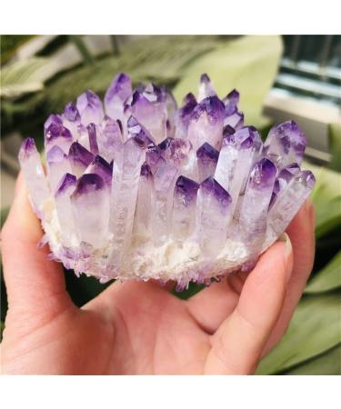 Natural Quartz Crystal 1pc Green Ghost Phantom Quartz Crystal Cluster Violet Rock Stones and Crystals Specimen Synthetic Quartz Home Office Decor ningxiao (Color : Purple Size : 300-350g) 300-350g Purple - Buy Online on GoSupps.com