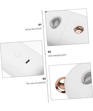 NOLITOY 1pc Beauty Humidifier Portable Electric Aroma Face Sprayer The Face Moisturizer 10.3X5.5CM - Buy Online on GoSupps.com