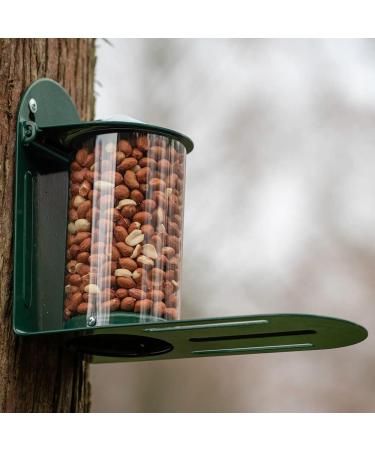 Green Metal Wild Squirrel Feeder - Garden squirrel feeding for wildlife Discourage squirrels from raiding and damaging bird feeders by providing them with their own dedicated feeder. - Buy Online on GoSupps.com