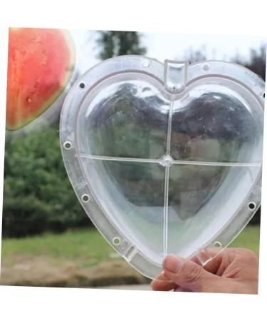 OSALADI Square Tool Strawberry Tool Garden Shaping Molds Fruit Shaping Molds Tool Vegetable Heart-Shaped 17x17cm Transparent - Buy Online on GoSupps.com