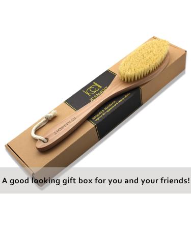 ICANdOIT Dry Brushing Body Brush - Long Handle for Cellulite and Lymphatic Drainage - Natural Agave Cactus Tampico Bristles - Men & Women - Buy Online on GoSupps.com