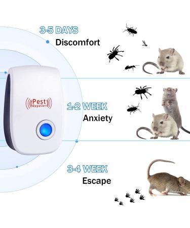Ultrasonic Pest Repeller Plug-in Insect Repellent Pest Control for Insects Spiders Mices Roaches Mosquitoes Bugs Flies Indoor Use -Non-Toxic Eco-Friendly Human & Pet Safe 6 Pack  - Buy Online on GoSupps.com