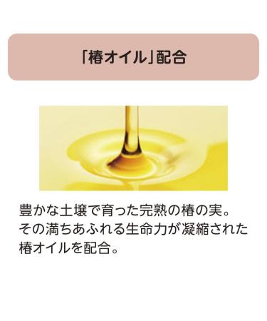 Shiseido Tsubaki Extra Moist Conditioner 500ml - Hydrating Hair Care for All Hair Types | Shop Internationally - Buy Online on GoSupps.com