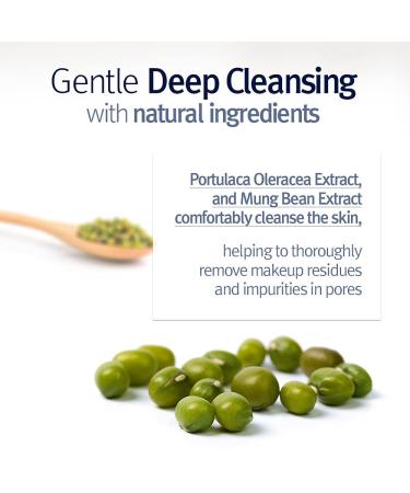 YUNKANG YUL Low pH Cleansing Water 9.8 Fl Oz - Gentle Makeup Remover with Witch Hazel, AHA, Cica, Tea Tree Extract - Hydrating Micellar Water - Buy Online on GoSupps.com