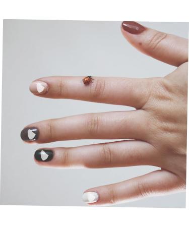 Breloques Nail Art en Verre Concass Transparent 200 G pour Manucure DIY D coration D'ongles Strass Remplissage poxy Accessoires Nail Art - Buy Online on GoSupps.com