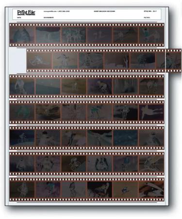Print File 35mm Negative Pages - Pack of 100 | Holds 7 Strips of 6 Frames | Archival Quality - Buy Online on GoSupps.com