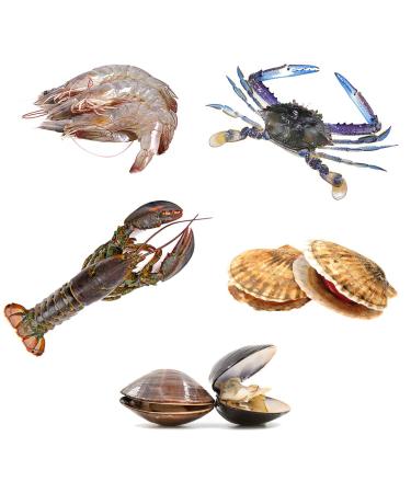 Seafood Boil Box 2 | 5 Ingredients | Lobster| Blue Crabs | Shrimp |Clams | Scallops |4.6kg