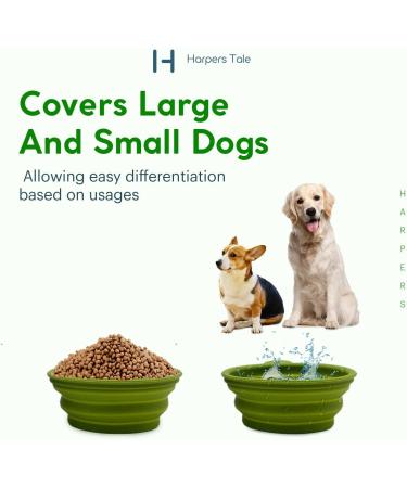 Travel-Friendly Harpers Tale Food & Wasserne Bowl - 400ml Green Foldable BPA-Free Silicone with Carabiner Hook - Buy Online on GoSupps.com