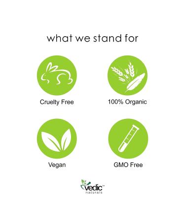 Vedic Naturals Exfoliating Mango Lip Scrub 15g - Treat Chapped Lips, Reduce Pigmentation | Enriched with Mango, Kokum & Shea Butter - Buy Online on GoSupps.com