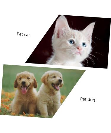 Beavorty 2pcs Teeth Oral Dog Portable Pets Cat Supplies Soft-bristle Pet Manual Cleaning Tooth 1 count (Pack of 1) White - Buy Online on GoSupps.com