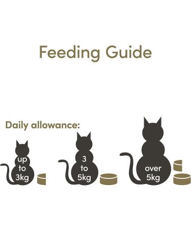 Applaws Premium Natural Cat Food - Tuna Fillet & Shrimps in Broth 156g Can (24 Pack) - Buy Online Internationally - Buy Online on GoSupps.com