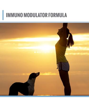 ADAPTOHEAL Immodulator - Adaptogenic Supplement with Ginseng, Ashwagandha, Reishi Mushroom - 180 Capsules for Stress Response, Mood Balance & Immune Support - Buy Online on GoSupps.com