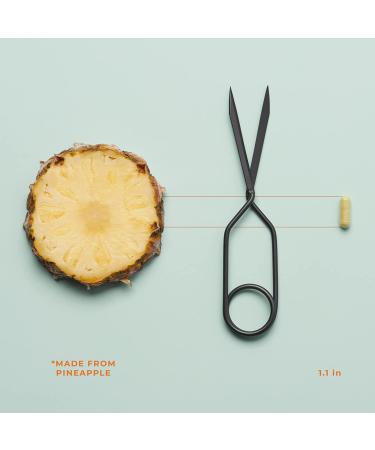 Breathe-X Allergy & Sinus Support by LifeSeasons | 15 Vegicaps for Natural Relief - Buy Online on GoSupps.com