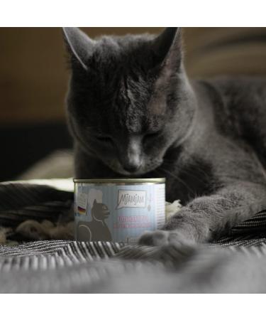 Mjamjam Premium Cat Food - Grain-Free Blanched Turkey & Salmon Sauce | 6 Pack (6 x 185g) - Extra Meat for Healthy Cats - Buy Online on GoSupps.com