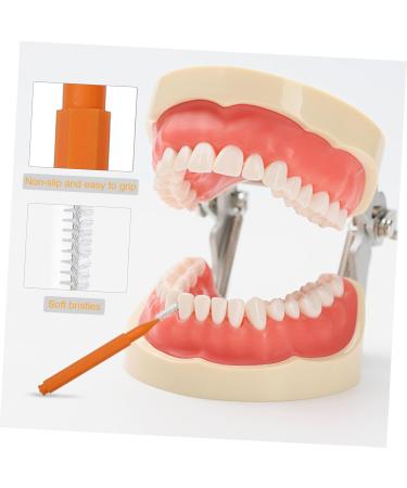 Beavorty Eyebrow Lamination Brush Set - 100 Gimmle Gums Brackets & Dental Floss for Perfect Brows - Buy Online on GoSupps.com