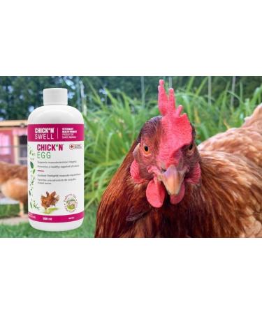 Premium Poultry Calcium Supplement for Bone Health & Egg Production-Chick N Egg from Chick N Swell Brand- for All Poultry. 500 ml- Makes 300 liters. - Buy Online on GoSupps.com