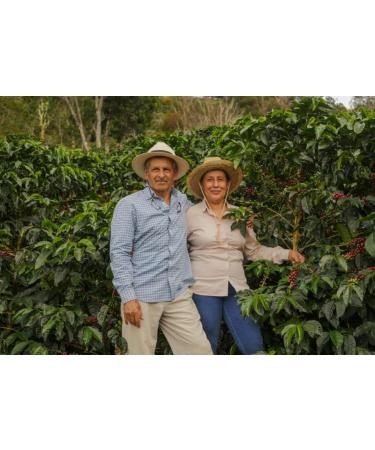 AGUILAR PERALTA 100% PANAMA GEISHA NATURAL ROASTED COFFEE BEANS 8oz 227g - Buy Online on GoSupps.com