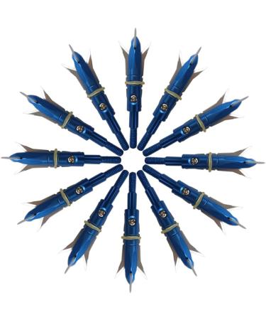 e5e10 12pcs Hunting Broadheads 100 Grain Archery Steel Broadheads + Black Case - Blue | Arrowheads Set - Buy Online on GoSupps.com