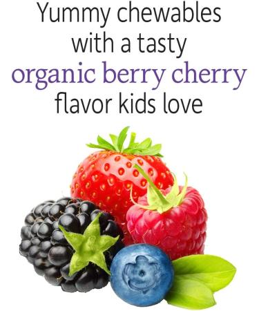 Garden of Life Organic Kids Probiotics - Berry Cherry Gummies (30 Count) - Buy Online on GoSupps.com